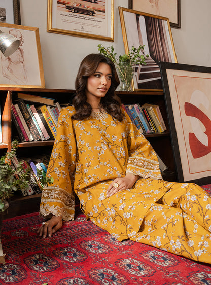 2 Piece - Printed Khaddar - Solara